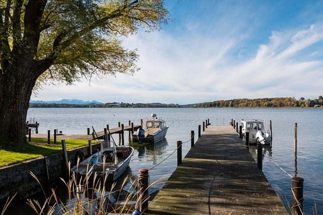 四面凯歌红 四面凯歌红