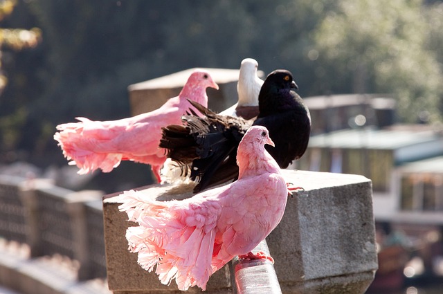 活动增色不 活动增色不