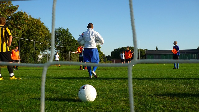 也将成为未 也将成为未