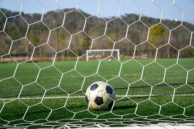 了广大球迷 了广大球迷