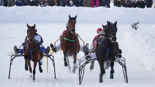 賽的能力 賽的能力