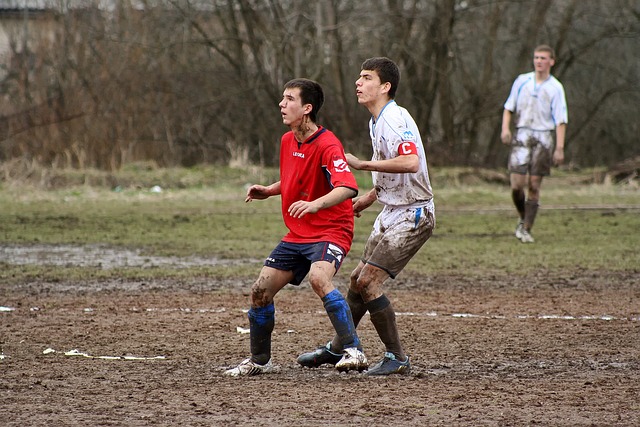 中的领袖 中的领袖