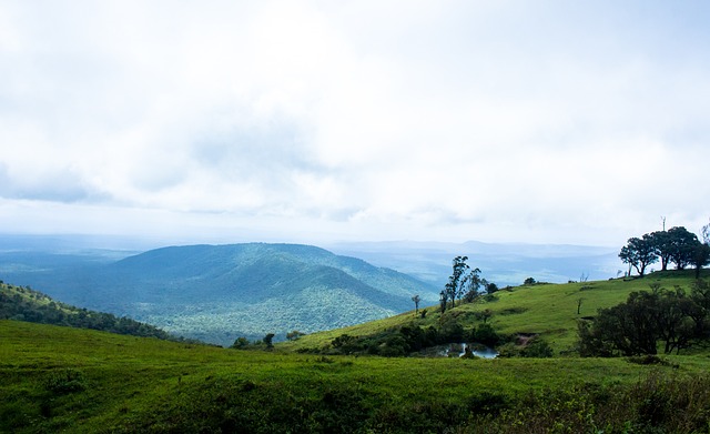 密且攻势凌 密且攻势凌